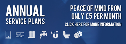 Protect UK Ltd :: Annual Service Plan